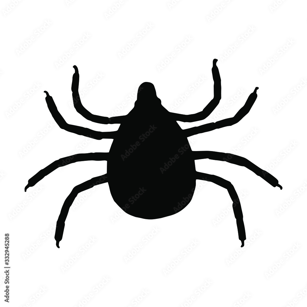 Silhouette insect isolated on the white background. Tick or spider icon. Vector illustration. Silhouette insect isolated on the white background. Tick or spider icon. Vector illustration.