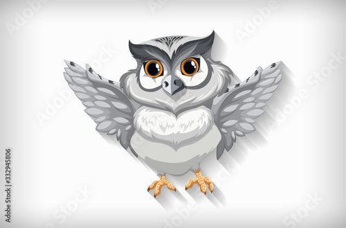 Gray owl flying on white background