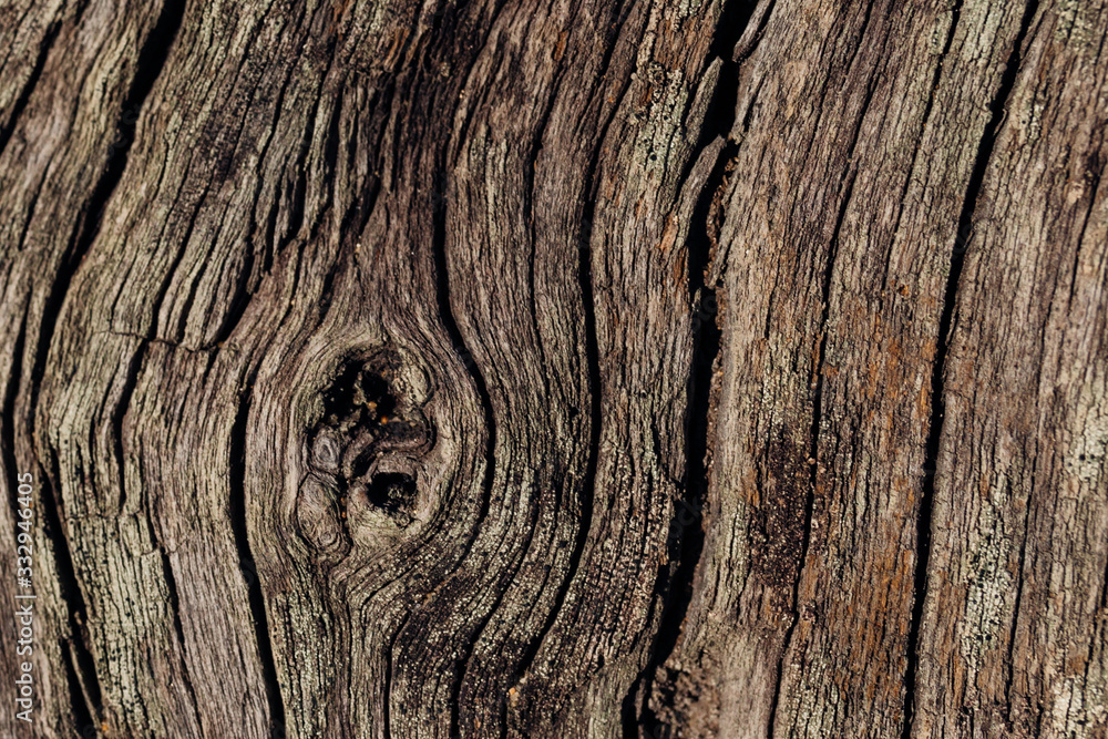 Dry old wooden, background. natural wood. Wood texture Dry old wooden, background. natural wood. Wood texture