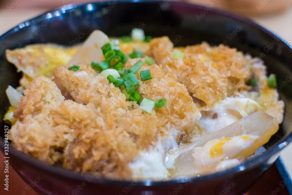 Tonkatsu pork tempura with egg and spring onion on top Tonkatsu pork tempura with egg and spring onion on top
