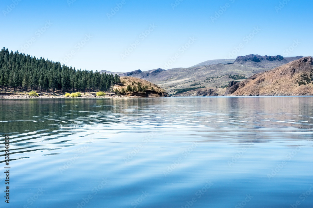Lake with pine trees and mountains in the province of Neuquén, Argentina.