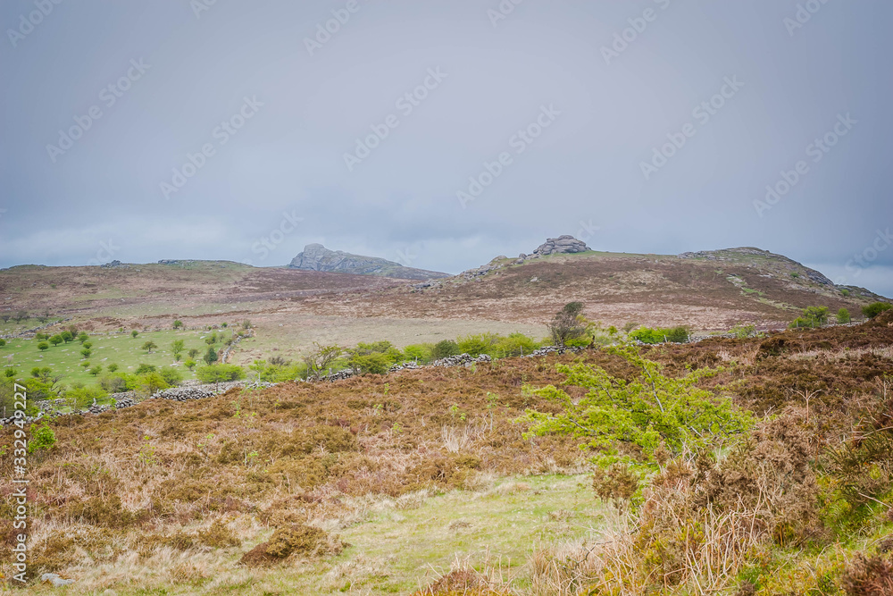 Tor, rock formation in Dartmoor
