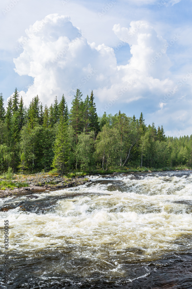Obraz premium White water in a forest river