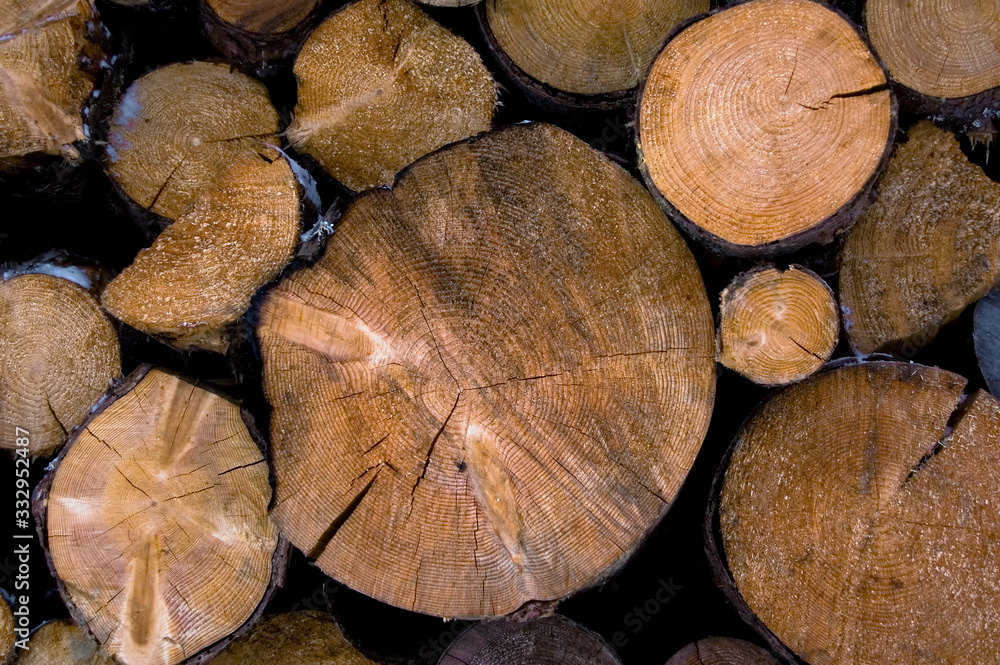 Naklejka premium Firewood