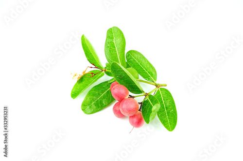 Mango yawning, red boo lime, Thai herbs used in health care The red color of ripe fruit is isolated on a white background.