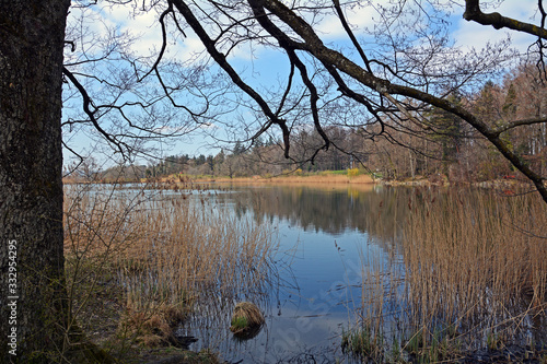 Horgener Bergweier photo