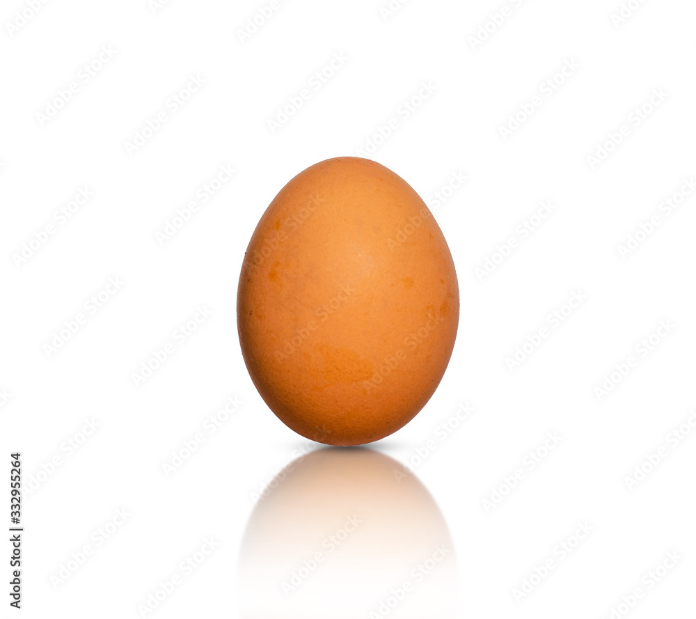 single chicken egg beautiful standing on white isolated background with clipping path and reflection. raw ingredient object. single chicken egg beautiful standing on white isolated background with clipping path and reflection. raw ingredient object.
