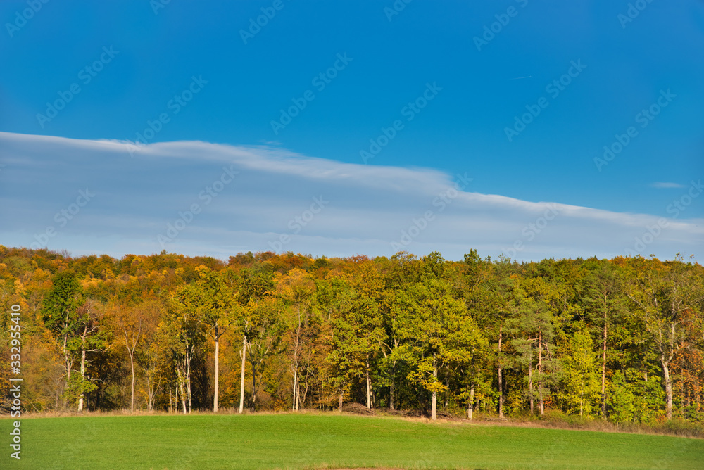 Wiese im Wald in der Herbstlandschaft Wiese im Wald in der Herbstlandschaft