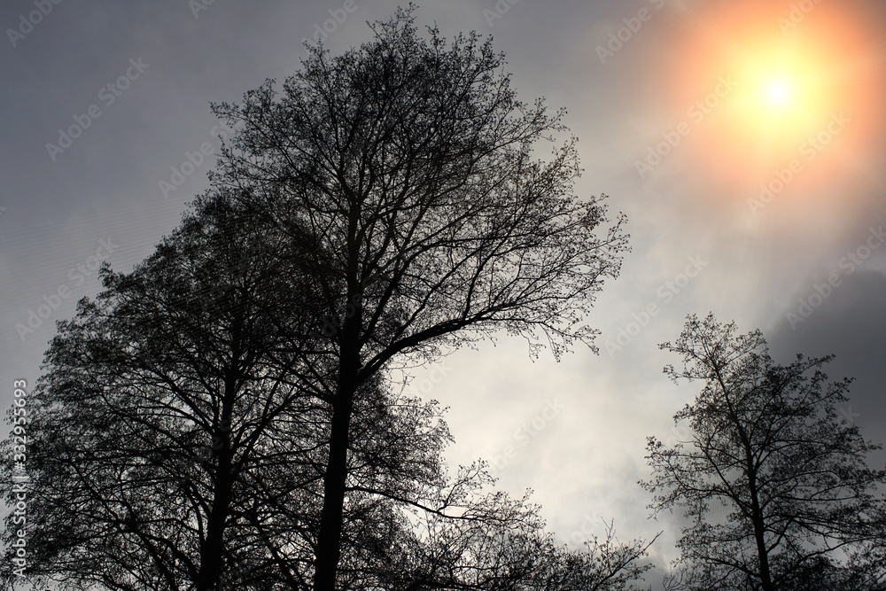 Lens flares in landscape photography are partly intended for post-processing Lens flares in landscape photography are partly intended for post-processing
