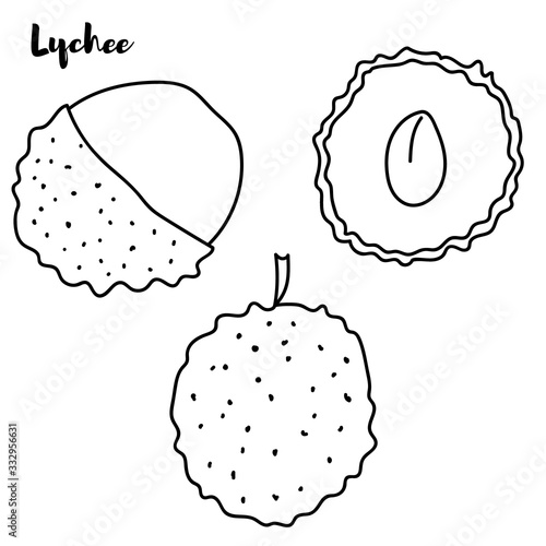 Vector set with outline Chinese Lychee or Litchi fruit and leaf in black isolated on white background. Perennial subtropical tree in contour style for summer design, juicy fresh menu and coloring book