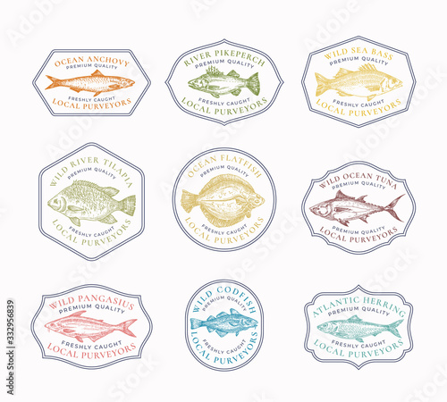 Fish Vintage Frame Badges or Logo Templates Set. Hand Drawn River and Ocean Fishes Sketch Emblems Bundle with Retro Typography.