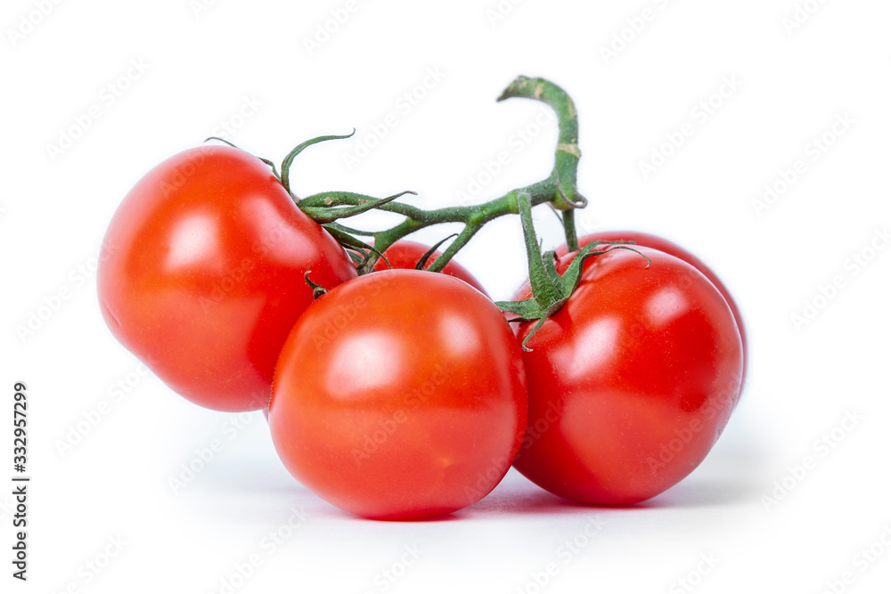 tomatoes on a branch isolated on white background tomatoes on a branch isolated on white background