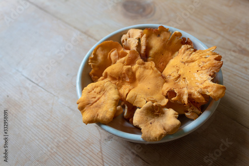 Beautiful organic fresh chanterelle mushrooms on a ceramic bowl, autumn food ingredient, horizontal aspect
