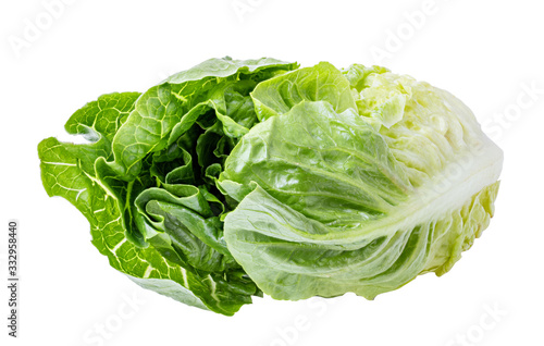 Green lettuce cabbage isolated on white background