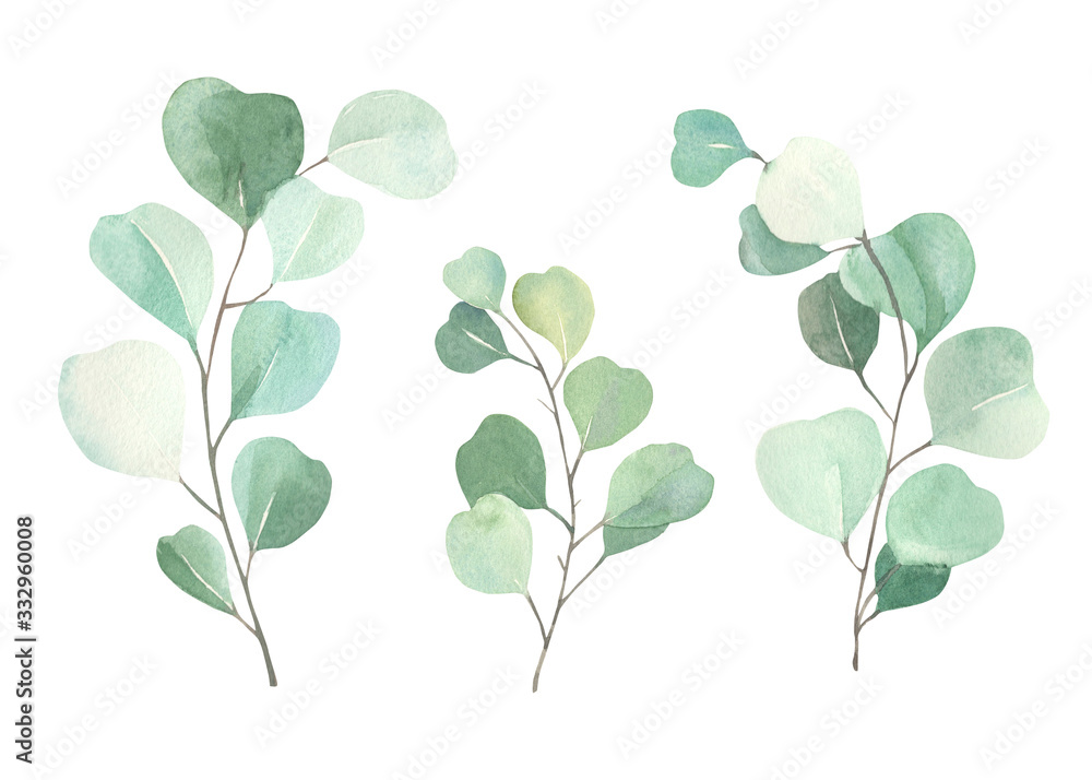 Watercolor floral illustration set - green eucalyptus leaf branches collection, for wedding invitation, greetings cards, wallpapers,  background. Eucalyptus, green leaves.