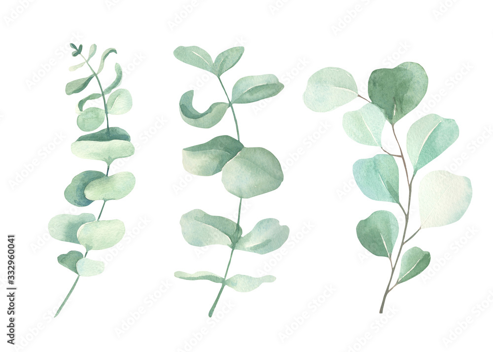 Obraz premium Watercolor floral illustration set - green eucalyptus leaf branches collection, for wedding invitation, greetings cards, wallpapers, background. Eucalyptus, green leaves.