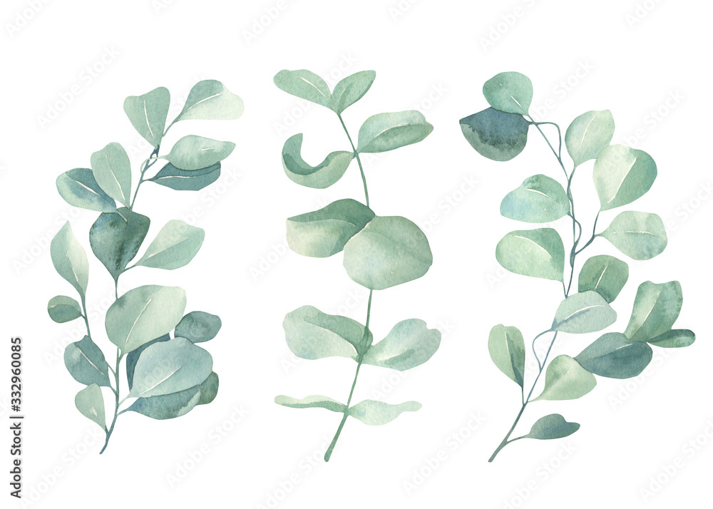 Obraz premium Watercolor floral illustration set - green eucalyptus leaf branches collection, for wedding invitation, greetings cards, wallpapers, background. Eucalyptus, green leaves.