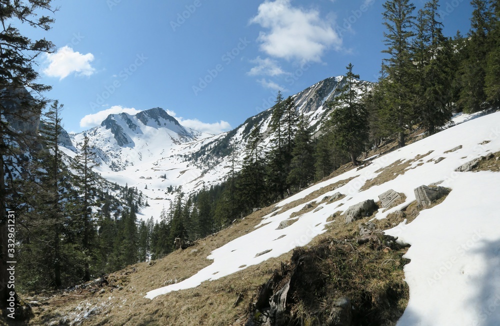 Berg-Panorama mit der Rotwand