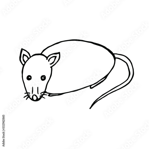 Fototapeta Naklejka Na Ścianę i Meble -   Vector illustration.Close-up mouse / rat on a white background.