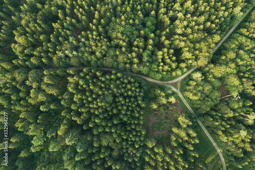 Slika na platnu Aerial view of roads intersecting in forest