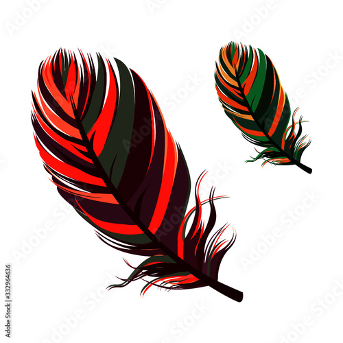 Beautiful Feather Pattern