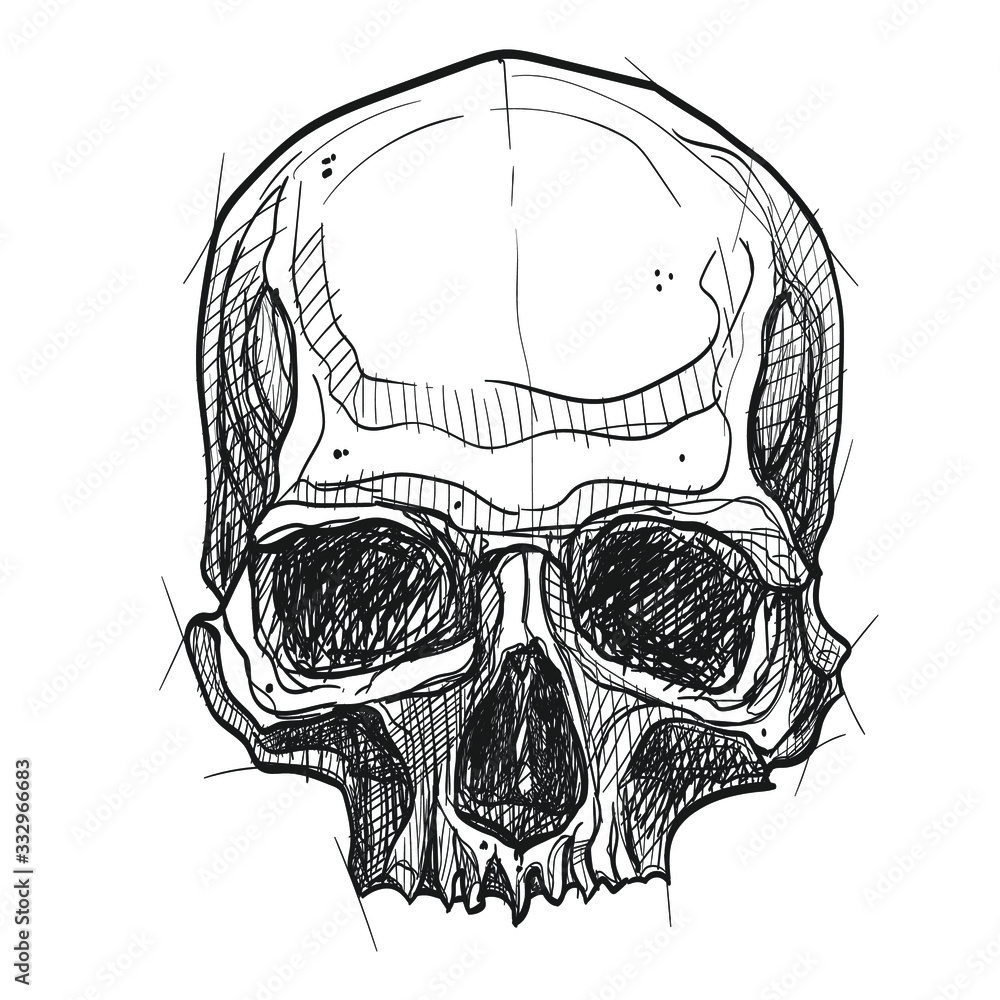 3,649 Skeleton Face Stock Photos, High-Res Pictures, and Images - Getty  Images