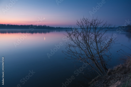 Tree on the Vistula on a moonlit night near Konstancin-Jeziorna, Poland © Artur Bociarski