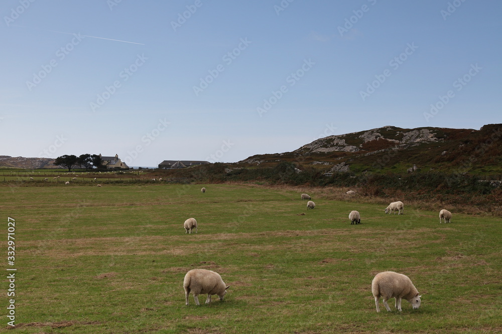 Obraz premium Colonsay