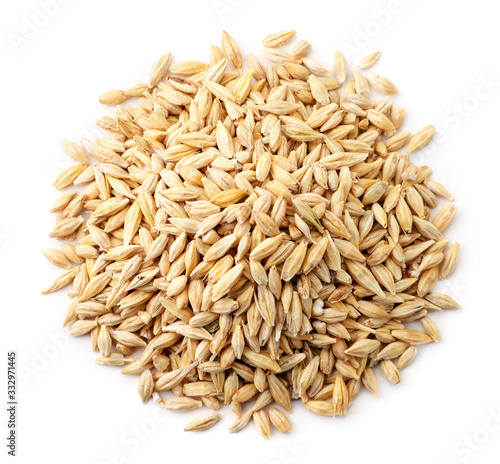 Barley grain top view, on a white background. Isolated, the view from top