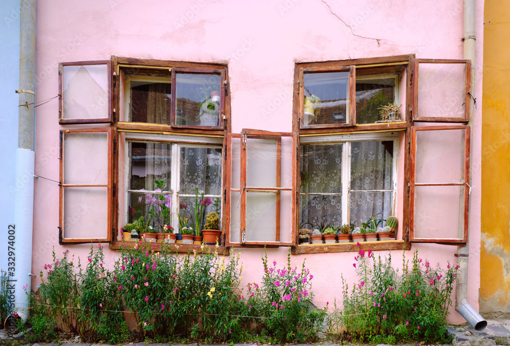 Facade with Old vintage rustic wooden window frames, filled with potted cacti and street with overgrown wild flowers