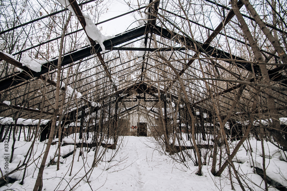 old oversized greenhouse with dried plants in the snow, metal fittings
old oversized greenhouse with dried plants in the snow, metal fittings