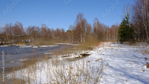 Spring landscape: river flooding in the forest in early spring on a warm Sunny day © Ekaterina