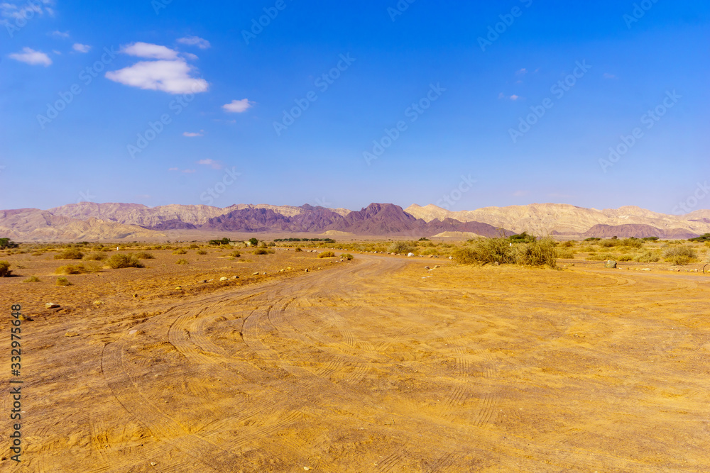 Arava desert landscape