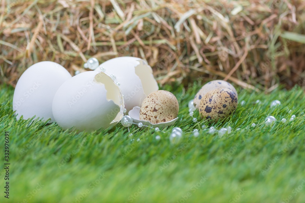 Beautiful easter nest on meadow with eggs and luxury necklace. Happy easter with hidden nest. Traditional basket deco for celebration. Handmade decoration of chicken and quail egg on green pasture Beautiful easter nest on meadow with eggs and luxury necklace. Happy easter with hidden nest. Traditional basket deco for celebration. Handmade decoration of chicken and quail egg on green pasture