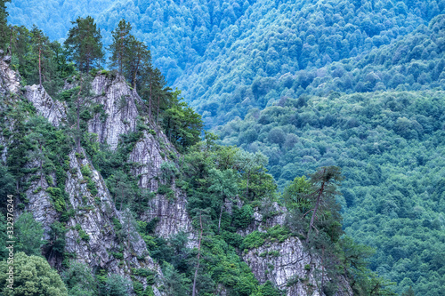 Stone cliff with pines growing on it in front of a green mountainside