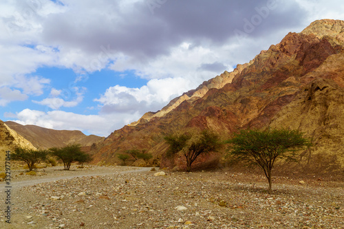 Nahal Shlomo (desert valley). Eilat Mountains photo