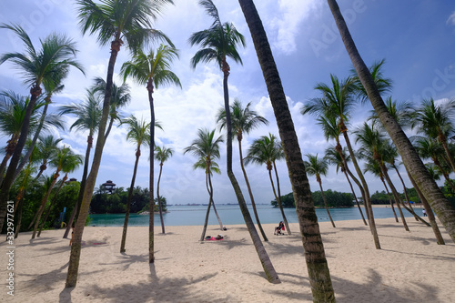 Beautiful tropical palm trees against blue sky with white clouds. © Towfiqu Barbhuiya 