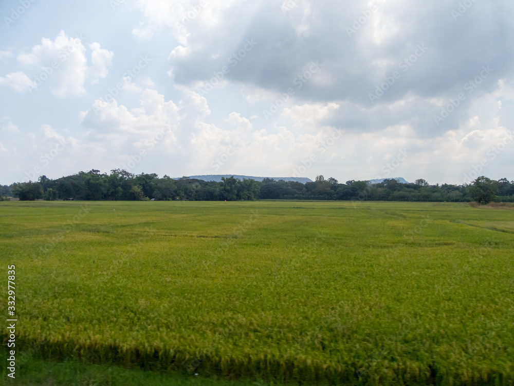 Meadows and fields In the sky there are clouds