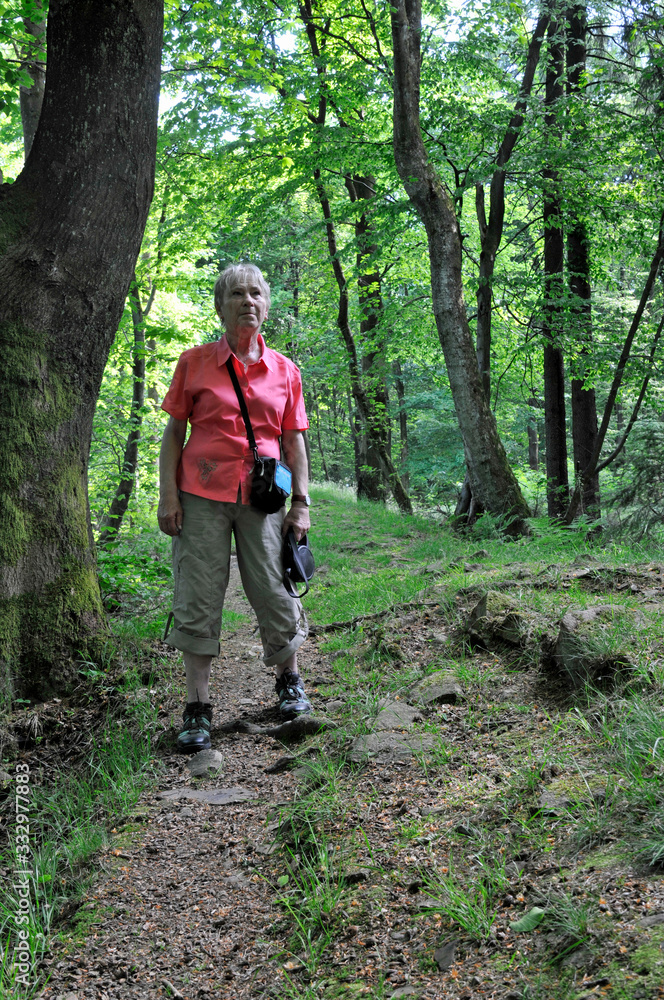 Obraz premium keltenwall auf dem donnersberg