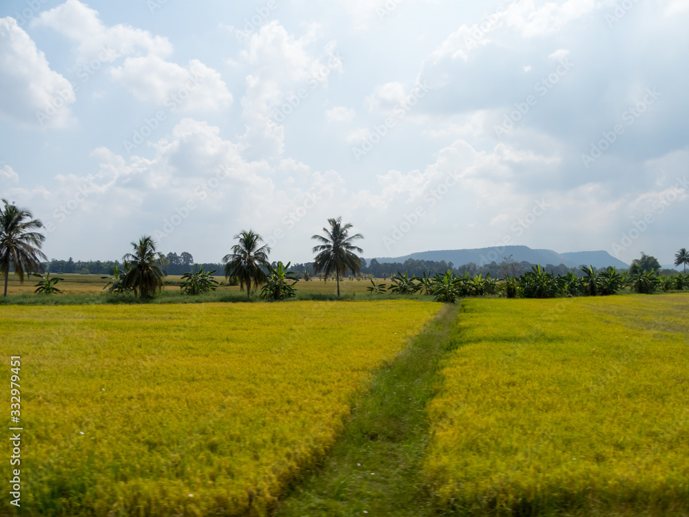 Obraz premium Meadows and fields In the sky there are clouds