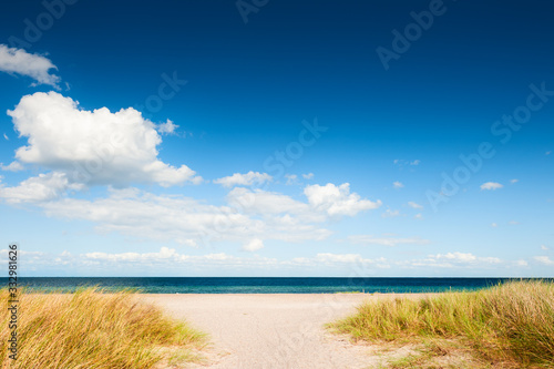 Sandy beach in Copenhagen  Denmark. Blue sea and sky with white clouds. Beautiful summer landscape