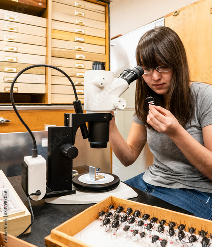 Research and education in entomology department of college natural history museum