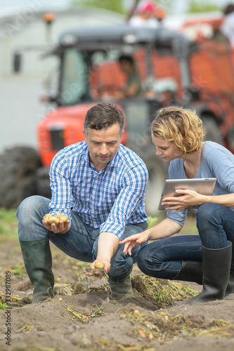 Couple of agronomists analyses the potatoes harvesting data  in a field