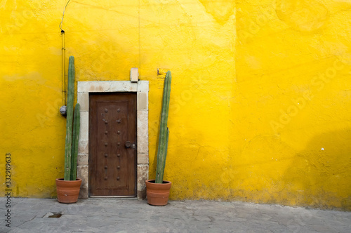 Yellow facade with cactus in Mexico photo