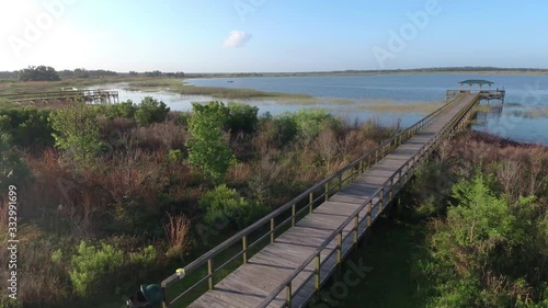 Wallpaper Mural Nature Conservatory Twin Oaks Park located at Osceola County in Central Florida Torontodigital.ca