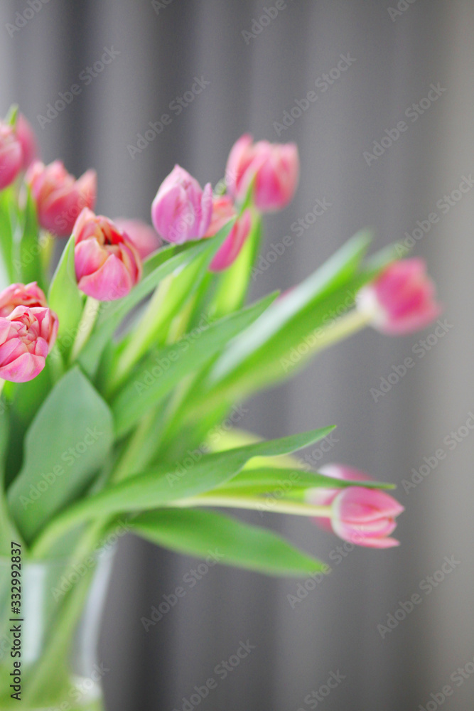 Beautiful bouquet of spring pink flowers tulips close-up. Gentle floral ...