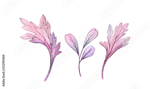 Watercolor floral set . Transparent leaves. Collection of three elements isolated on white. Botanical illustration for wedding design  greeting cards