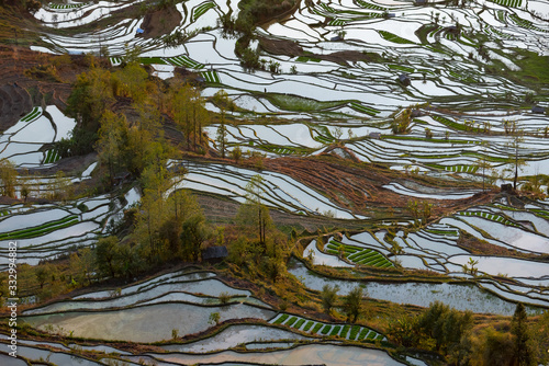 View on rice terraces photo