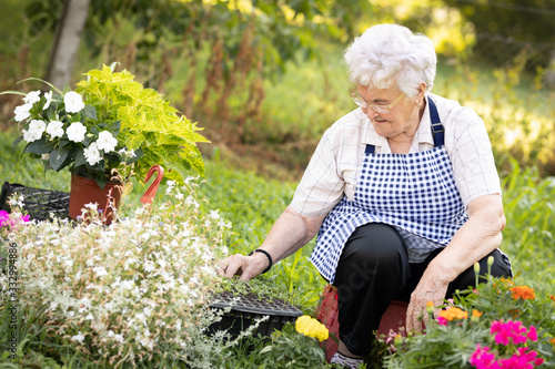 Gardening and senior people concept