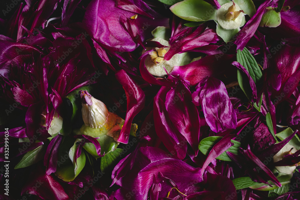Broken magenta peonies pattern Broken magenta peonies pattern